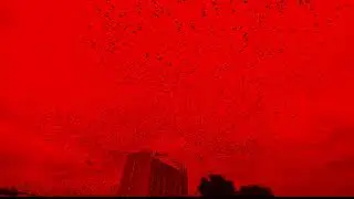 [FREE] Trap Type Beat - 
