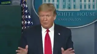 Trump plays Levan Polka Cat Meme