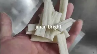 Bread crumbs production line  #twin-screw extruder  #needle shaped bread crumbs