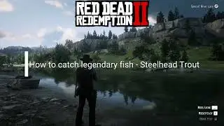 How to catch Legendary Fisch - Steelhead Trout in RDR2