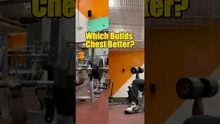Which Builds a Better Chest: Bench Press or Dumbbells?