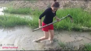 Awesome Catching Water Snake Using Bamboo Trap - Catch Snake In Cambodia