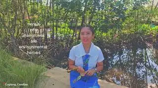 ECOLITERACY//MANGROVES 