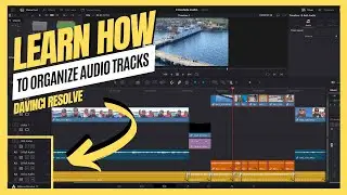 Don't Miss This DaVinci Resolve Tutorial: How To Organize Audio Tracks