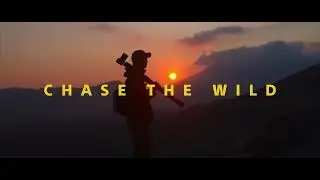 Sony | G Master Lenses | Chase the Wild