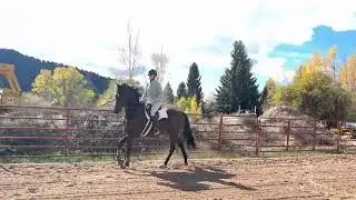 Loonshot &ldquo;Renzo&rdquo; left to right flying change 10-20-25