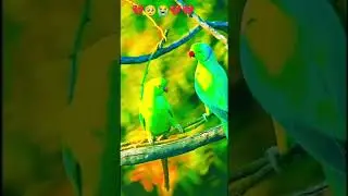 ADITYA MOBILE PLEASE SUBSCRIBE MY CHANNEL