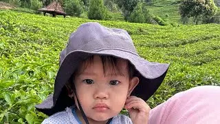 keseruan baby ikut camping 🤗
