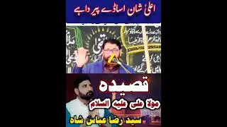 New Qasida | Syed Raza Abbas Shah Naqvi