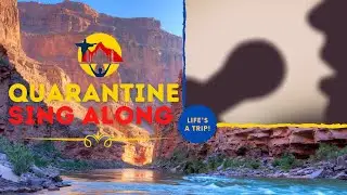 Quarantine Sing along