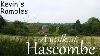 Hascombe Walk #walking #hilltopview #trees