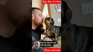 Dog 🐶🐶  loved #love #shorts #video #animals #cute dog #video #dd reaction movie subscribe please