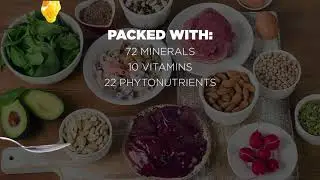 nutraburst Benefits