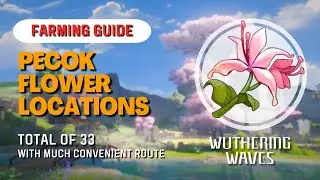 All 33 Pecok Flower Locations | Farming Route | Wuthering Waves