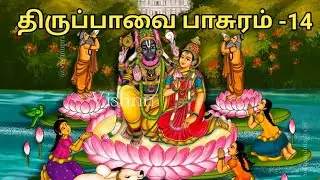 திருப்பாவை பாசுரம் பாடல் 14 | Thirupaavai Day 14 | Sentamizh Aruvi 