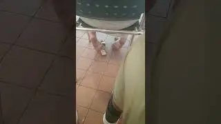 Arab soles feet at the swimming pool pt1