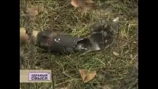 Поселок 14 -й км: Полгода после взрывов