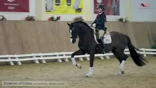 Element of Crime v. Escamillo x Bretton Woods