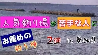 知多半島の人気釣り場が苦手な初心者にお薦めのクロダイ、シーバス、根魚釣り場紹介