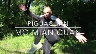 Tao de la boxe Piguaquan Mo Mian Quan
