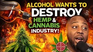 Why I Think Big Alcohol Is Threatened by Hemp & Cannabis