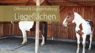 BELMONDO Liegeflaechenbeläge aus Gummi für Pferde in Offenstall und Gruppenhaltung