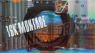 16K Montage | DunduMol YT 😻