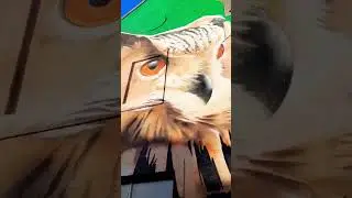 Owl mural #shorts #realenglish #ireland #english #englishlearning #irlanda #mural #owl #streetart