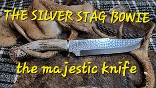 Silver Stag bowie, wow 👌