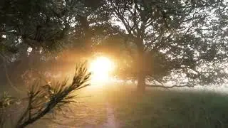 Nature's Frontline