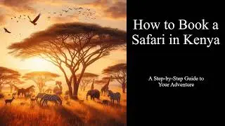 How to Book an Unforgettable Safari in Kenya in 2024: Step-by-Step Guide