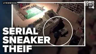 Store owners fear safety as violent break-ins hit high-end sneaker shops across western WA
