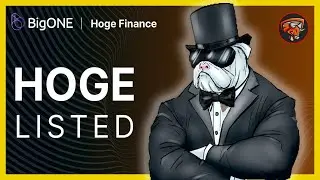💰HOGE. Finance - новый ГЕМ листится на BigONE. Конкурент DOGE