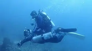 해외스쿠버다이빙영상 | Overseas Diving Video