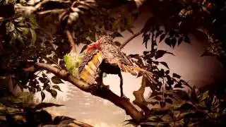 Surfrider Project 
