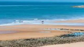 St bees 🐝CumbriaArea in England