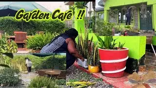 [Slow Living]&ldquo;Peaceful Homestead Morning 🌞 | Garden Care, Nature Sounds & Mindful Moments&rdquo;