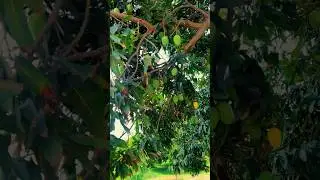 Make Pakistan Green with ARB Farms &ndash; Your Farming Society, Your Future!