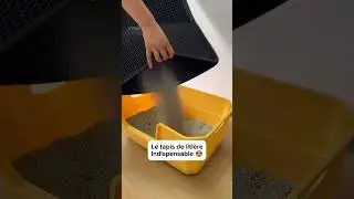 La solution qui a chang&eacute; ma vie et ma maison