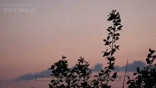The Dance of Shadows