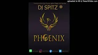 Dj Spitz Phoenix HIGH ALTITUDE DUB PLATE (D-MAJOR)