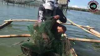 FISH AND CRAB TRAPS CHECKING,EP#3 FRESH SEAFOOD MUKBANG!!