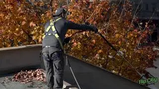 #1 Roof Cleaning Company In Portland Oregon