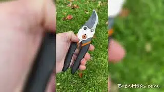 Bypass Pruner Review
