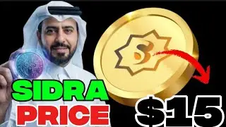 Sidra $15 Launch? Reality or Crypto Hype Explained