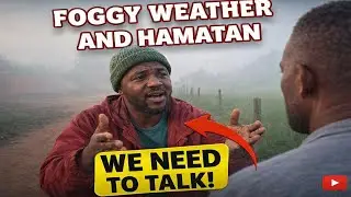 Foggy and Hamatan weather is here 