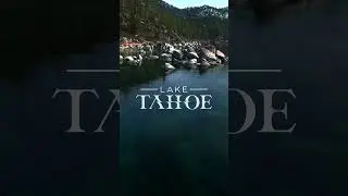 Lake Tahoe. Dive in.