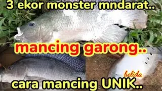 mancing garong//tanpa umpan.sport surganya para pemancing.hasilnya monster semua..