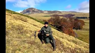 Mix d&eacute;but de saison