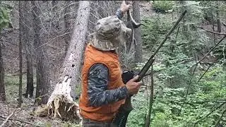 The Hunt for California Tree Squirrels 